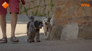 Dit Italiaanse spookdorpje werd voor 100 miljoen gekocht door een reisorganisatie