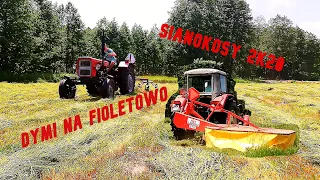 Szybkie sianokosy 2020//40'stka dymi na FIOLETOWO// Mafia Łagów