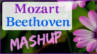 Mozart / Beethoven MASHUP