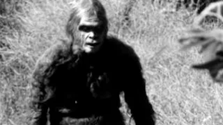 14 Amazing things About BIG FOOT