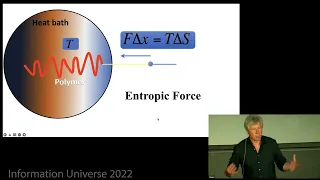 Erik Verlinde  "Emergence of Gravity from Quantum Information: a Progress Report"