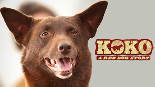 KOKO A RED DOG STORY OFFICIAL TRAILER - (2023) #australia