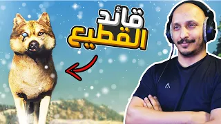 حياة الذيب #1 | السيطرة على المناطق - بداية تأسيس القطيع WolfQuest: Anniversary Edition