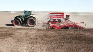 CLAAS AXION 950 посев мака.