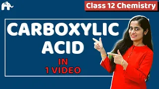 Carboxylic Acids Class 12 Chemistry | NCERT Chapter 12 CBSE One Shot CBSE JEE NEET