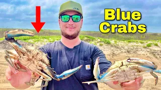 BLUE CRAB Catch & Cook! (Galveston, Texas)
