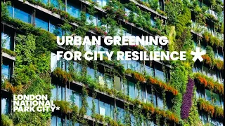 Urban Greening for City Resilience