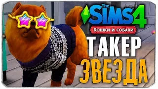ТАКЕР - ЗВЕЗДА СИМСТАГРАМА? - The Sims 4 "Кошки и Собаки" ▮