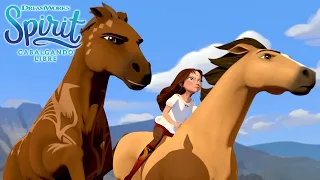 Lucky y el rescate peligroso | SPIRIT CABALGANDO LIBRE