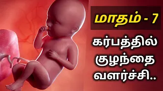 7th Month Baby Development in tamil || 7th month pregnancy care tips in tamil || pregnancy 7th month