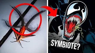 5 Strangest Mysteries Solved By Reddit And The Internet