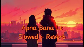 Apna Bana Le | Slowed - Reverb | Bhediya | Varun Dhawan | Kriti Sanon| Arijit Singh| #youtube #viral