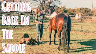 Getting Back In The Saddle | Recovering From A Bad Fall Off My Horse After Becoming A Mom