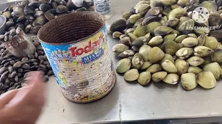 Mura daw ang isda dito sa Masinloc Zambales!