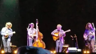 Billy Strings - West Dakota Rose (feat. Jarrod Walker on mandolin) @underthebigsky live 7/16/2021