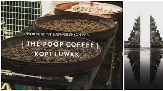 Bali ‘s most expensive poop coffee |Bali vlog -3|