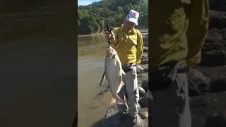 Pesca en el río cauca