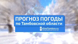 Прогноз погоды в Тамбове и Тамбовской области на 14 января 2023 года