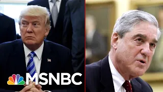 The New Phase Of President Donald Trump’s Presidency | Deadline | MSNBC