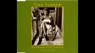 Tina Turner - Nutbush City Limits 90's Version Radio/High Pitched