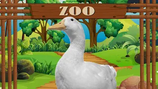 I took my duck to the Zoo
