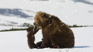 Красивое видио и прекрасная музыка:Сергей Чекалин - Снег и Солнце