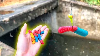 INSANE CATFISHING with GUMMY WORMS!!