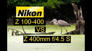 NIKKOR Z 400mm f/4.5 VR S vs. NIKKOR Z 100-400mm f/4.5-5.6 VR S  with the  Nikon Z9 in the field