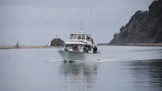 Dive and aerial teams search for two missing bodies around White Island