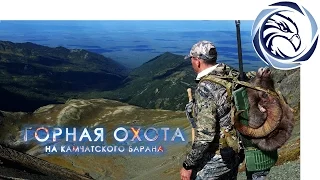 ГОРНАЯ ОХОТА НА КАМЧАТСКОГО БАРАНА