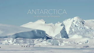 Antarctica, sur les traces de l'empereur (Trailer)