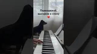 Три дня дождя - перезаряжай (piano cover)  #кавернапесню #pianocover #триднядождя #кавер #ноты