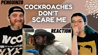 "Cockroaches Don't Scare Me" @penguinz0 | HatGuy & Nikki react