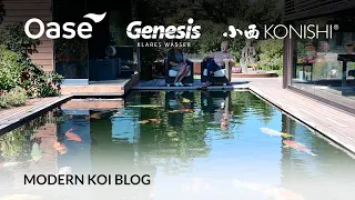 Modern Koi Blog #5511 - Dies und das über die Allrounder am Koiteich Filterbürsten