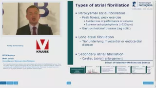 eBEVA Webinar:  Mark Bowen -  Clinical Decision Making and Atrial Fibrillation