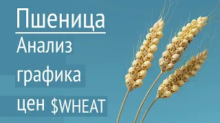 Пшеница. Анализ графика. Мы на пороге продуктового кризиса?