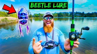 BEETLE Lure Fishing Challenge (HUGE BASS CAUGHT!!)