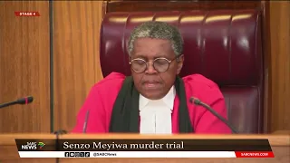 Senzo Meyiwa murder trial I Ballistic expert Chris Mangena concludes his examination