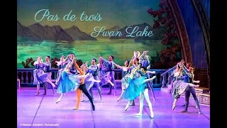 Coda of Pas De Trois, Swan Lake