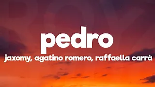 PEDRO - Jaxomy, Agatino Romero, Raffaella Carrà (TikTok Song)