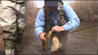 Fremont River Southern Utah Seg 4