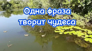 Одна фраза творит чудеса