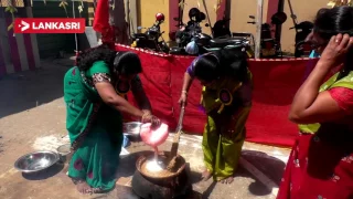 National Thai Pongal Festival 2017 In Colombo