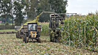 ☆Kukurydza na Kiszonke2021☆Przecięte Koło☆Fortschnitt E-281☆✔2xUrsus c360☆Ursus c385☆Lubelskie Team☆