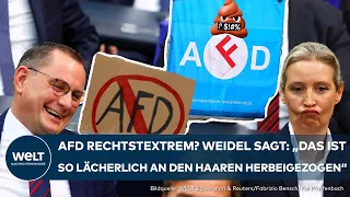 RECHTSEXTREMISMUS: AFD kämpft weiter gegen Verfassungsschutz – Oberverwaltungsgericht verhandelt