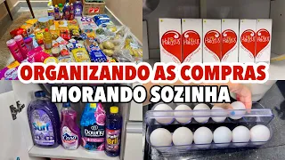 ORGANIZANDO AS COMPRAS DO MÊS (morando sozinha✨🏠)