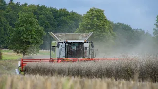 Claas Lexion 7700 & John deere 7230R + Annaburger HTS 22.16 🤩📸