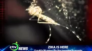 CTV NEWS - 12yr old in DR contract Zika Virus Transmitted by Mosquito