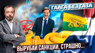 Альтернативы нет : Гаага ПРОСИТ ПЕРЕМИРИЯ в Газовой Войне с Россией | Геоэнергетика Инфо