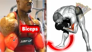 Best Biceps Exercises For Big Arms DON'T SKIP THESE! | Bicep workout | Bodybuilding Motivation 2020